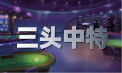 <b>小黄蜂老版本110最新版本特色</b>